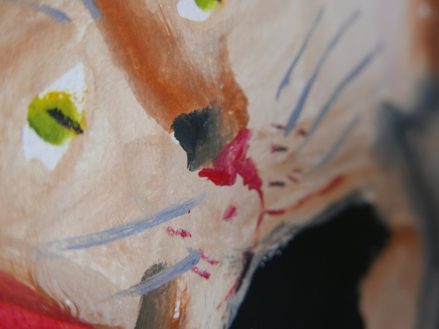 Women and their Cats - Cat On Face