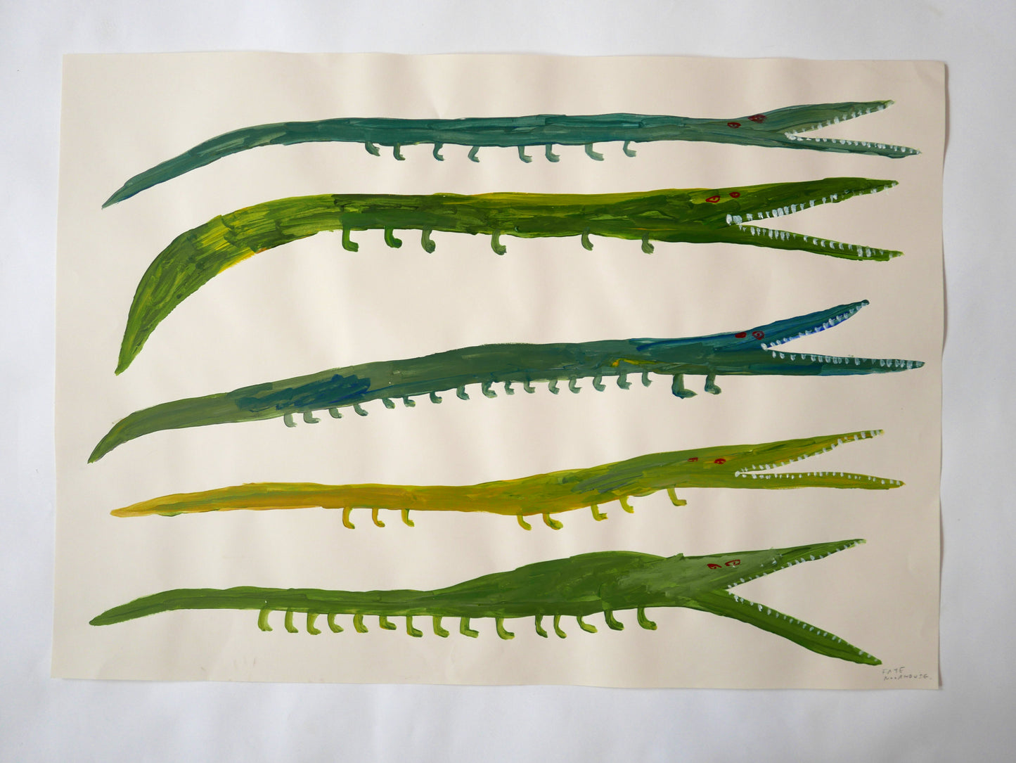 Eel Alligators