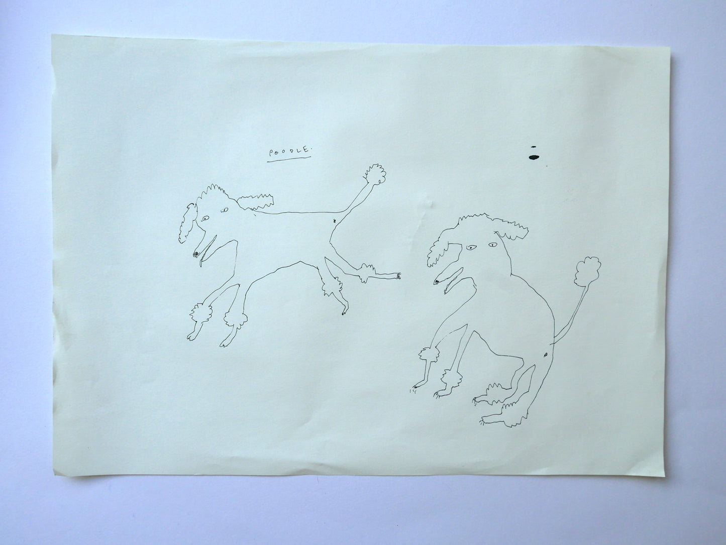 A Wonky Drawing