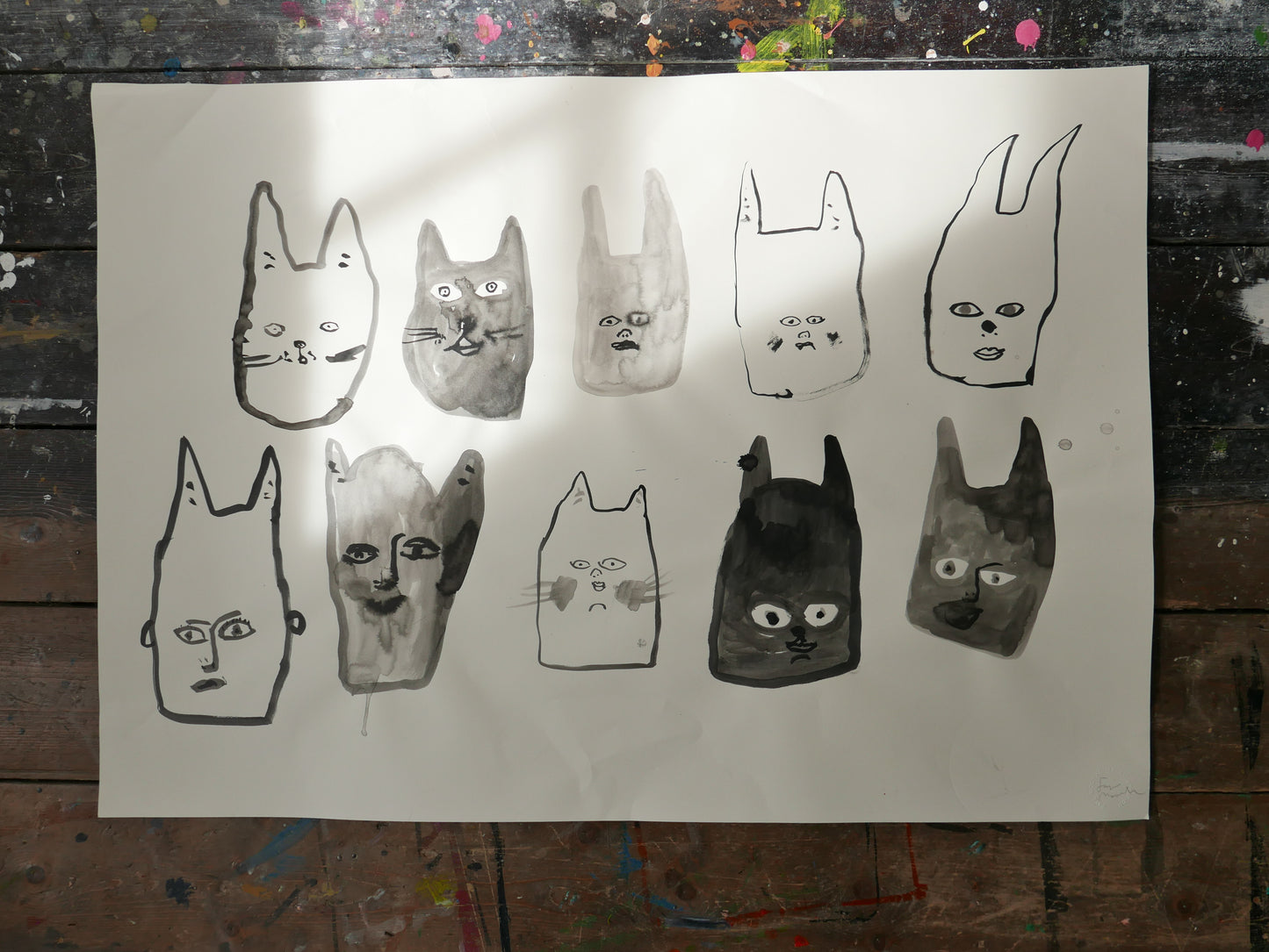 Cats and Humans