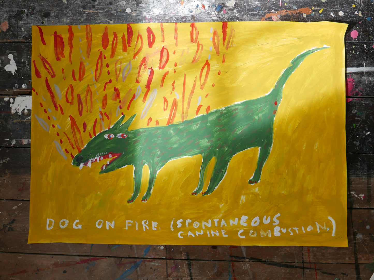 Dog on fire. Spontaneous canine combustion