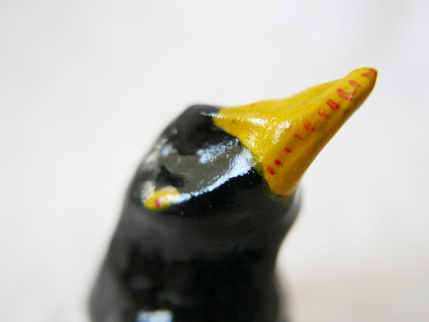 Blackbird