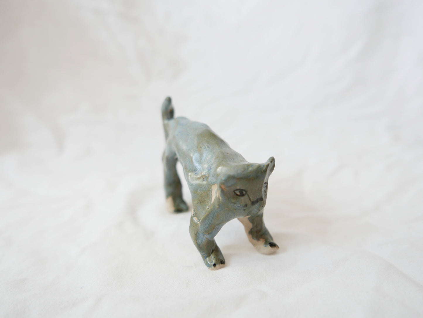 Sad Wonky Grey Cat