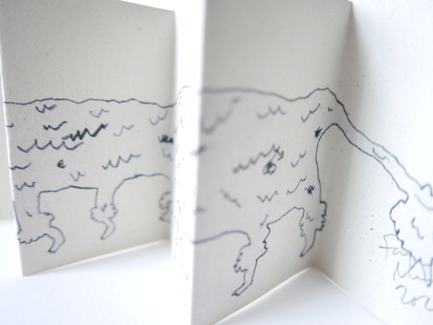 A very tiny book about a very long dog