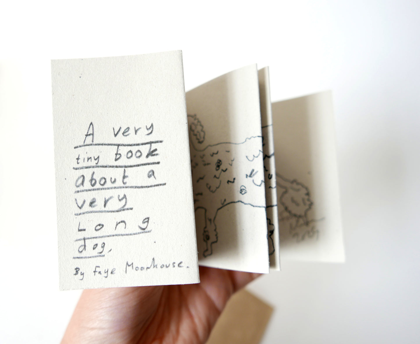 A very tiny book about a very long dog