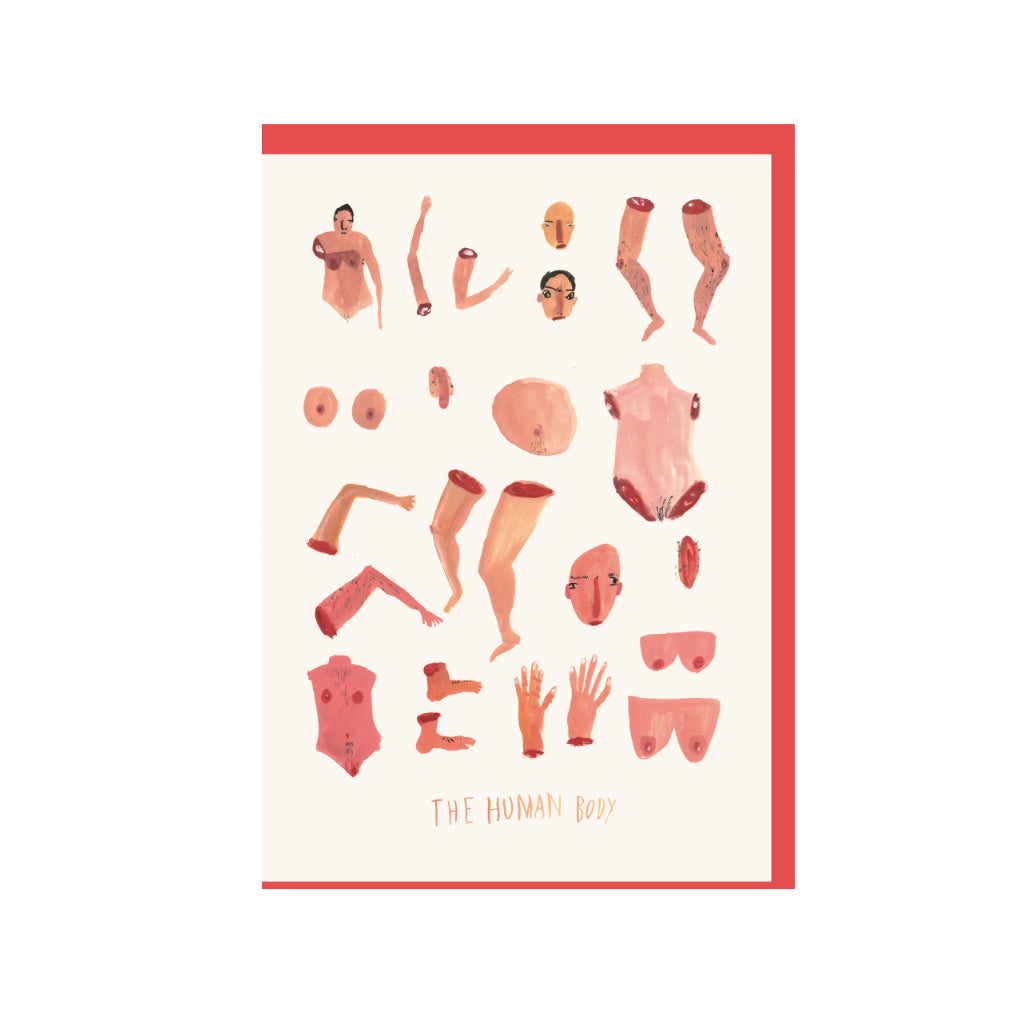 The Human Body