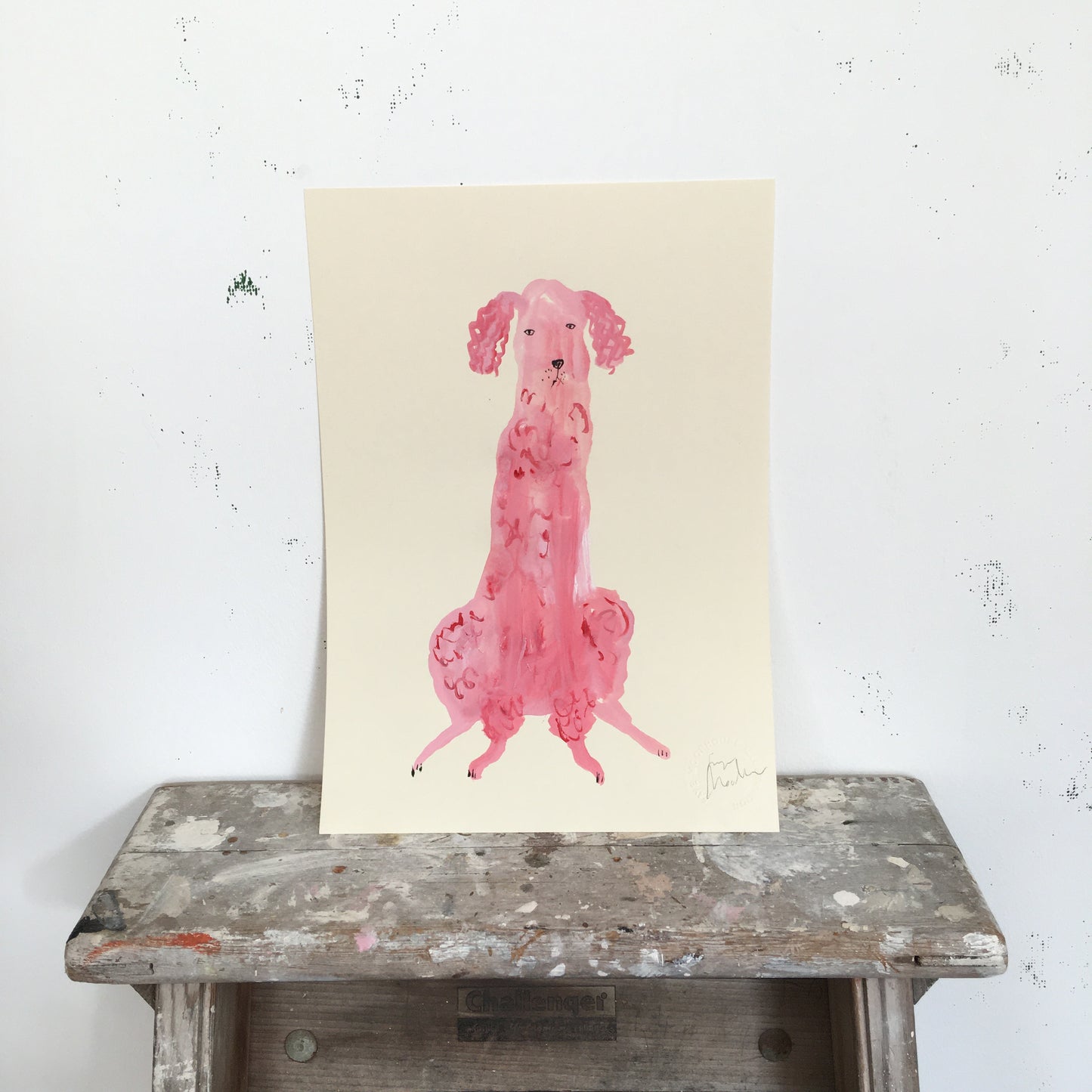 A Small Pink Poodle