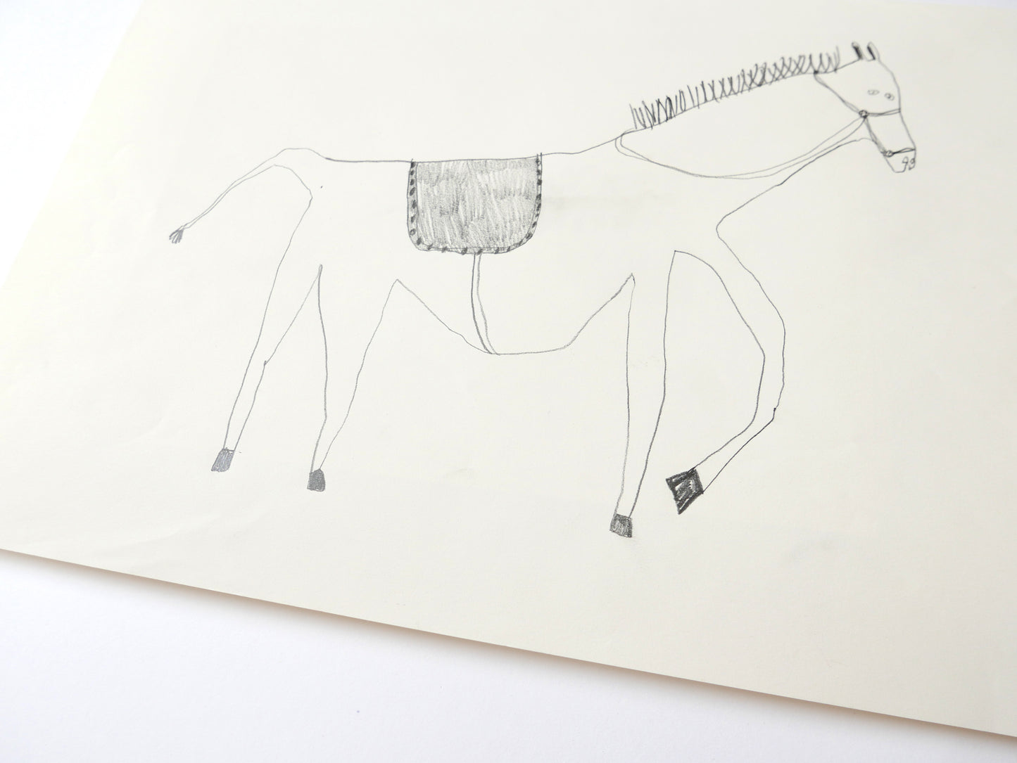 Wonky Horse