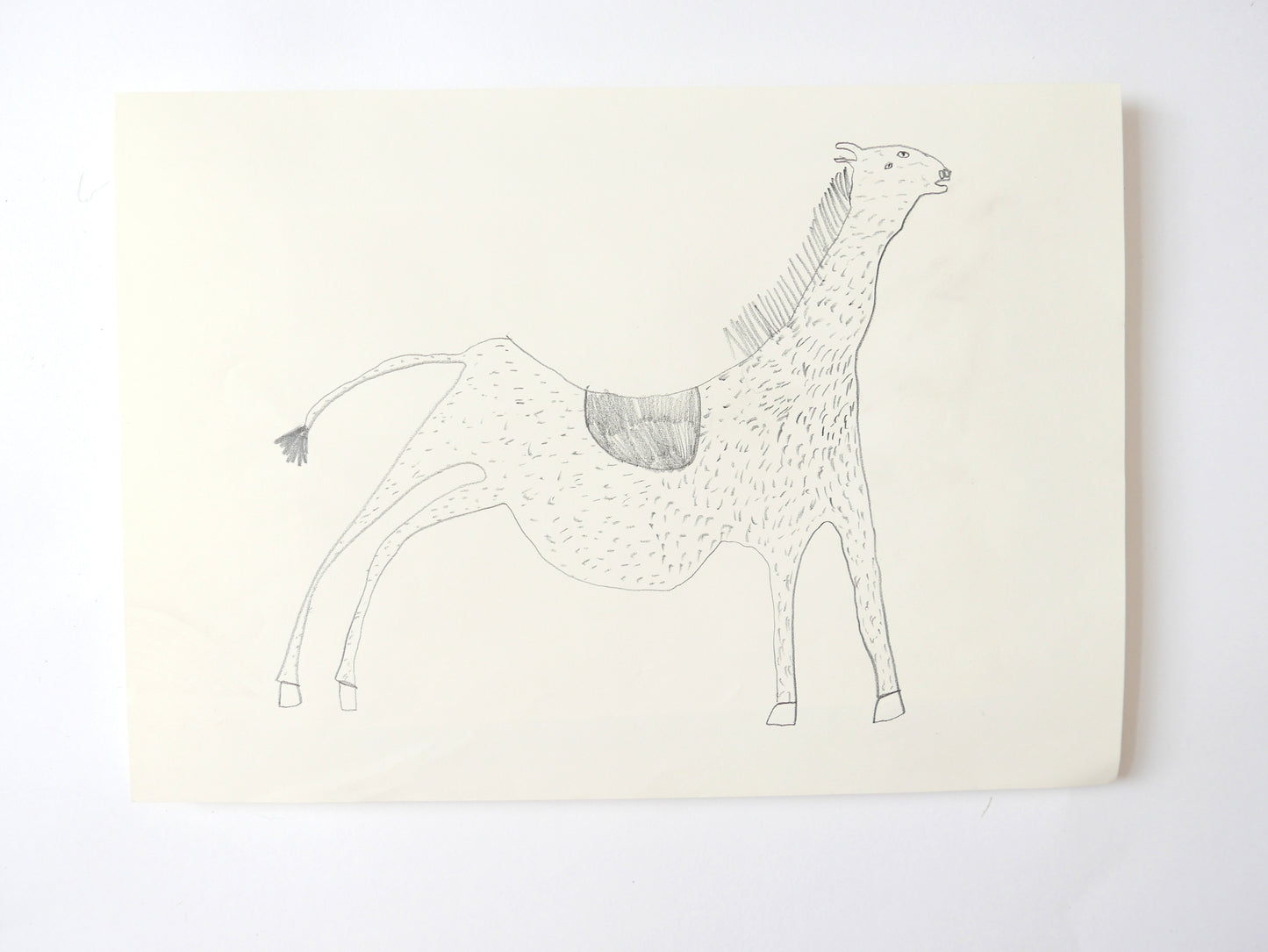 Wonky Horse