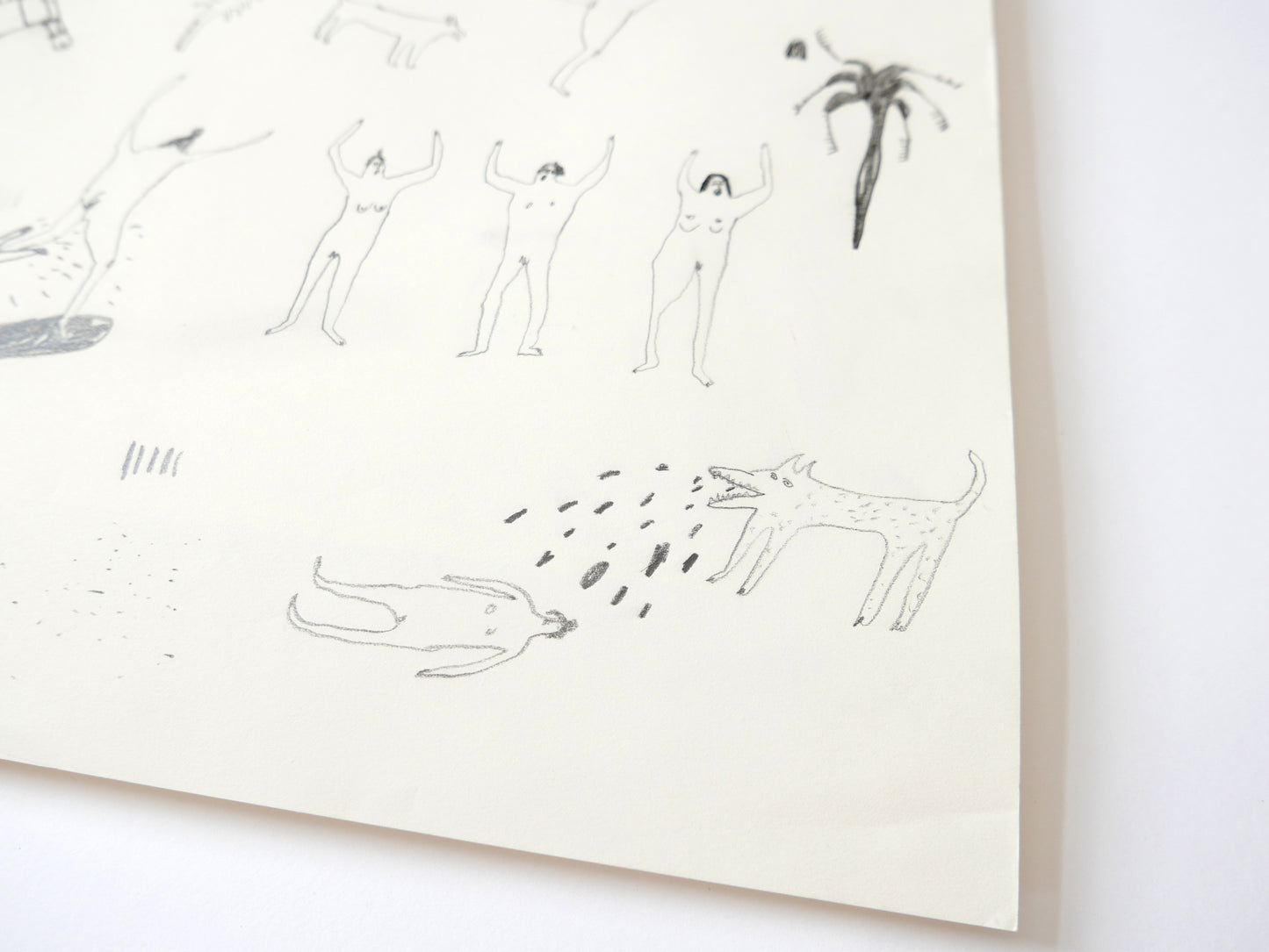 Dog went for the leg