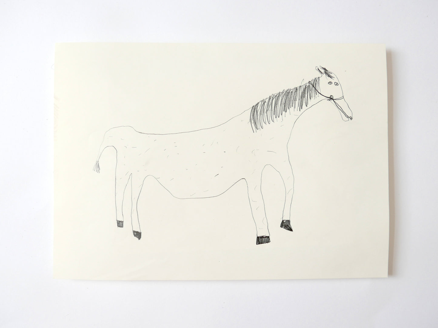A Donkey