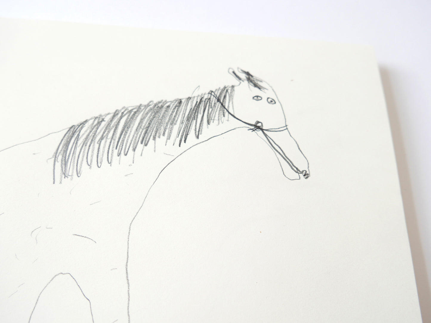 A Donkey