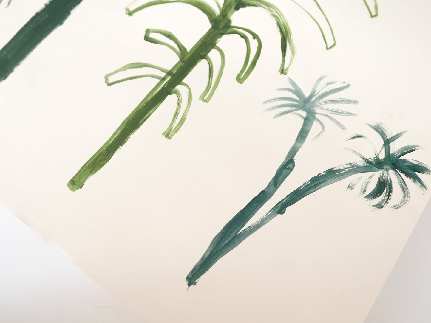 Palm Trees