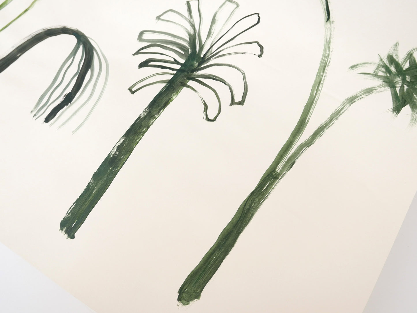 Palm Trees