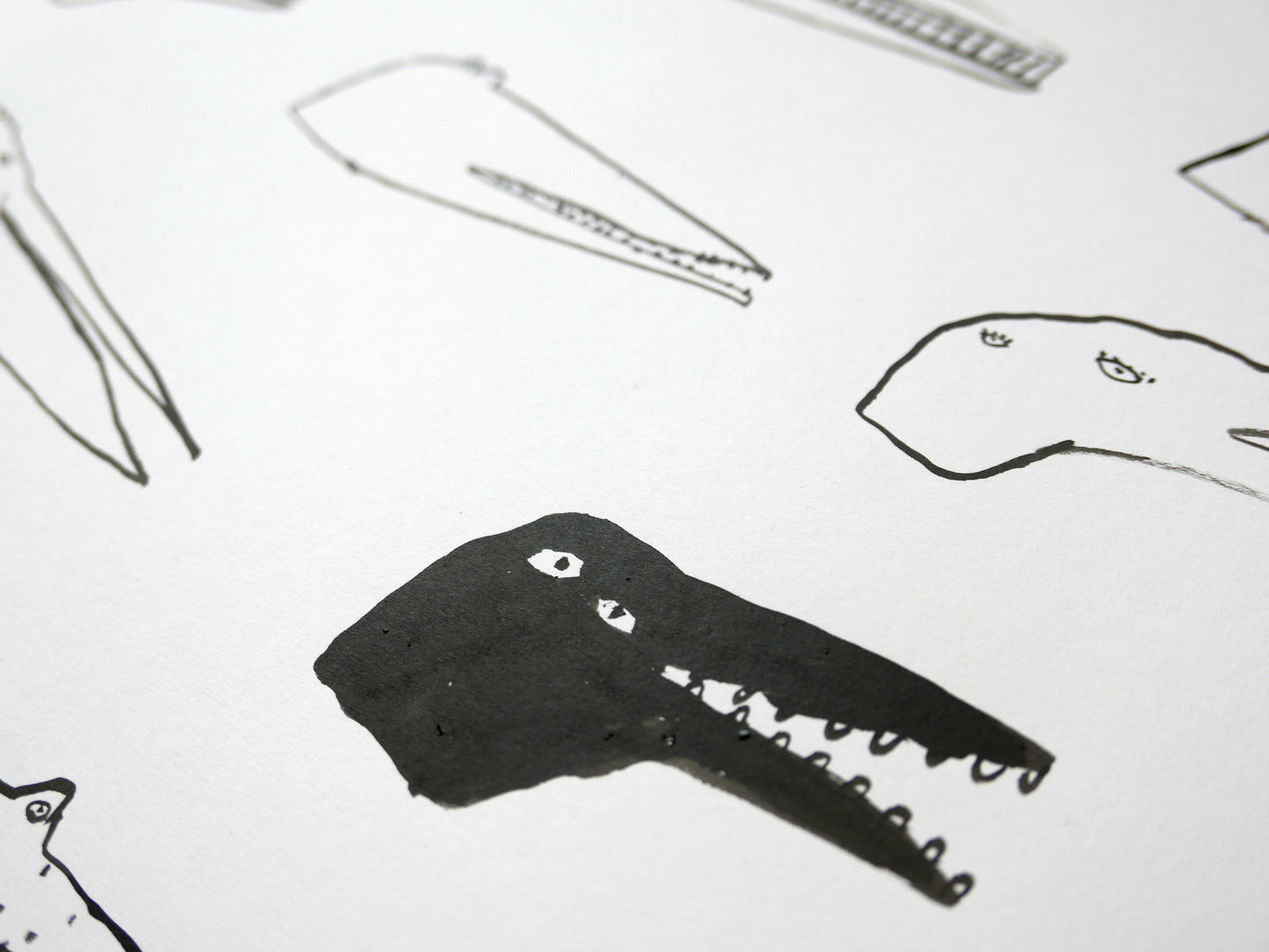 Eighteen Saltwater Crocodiles