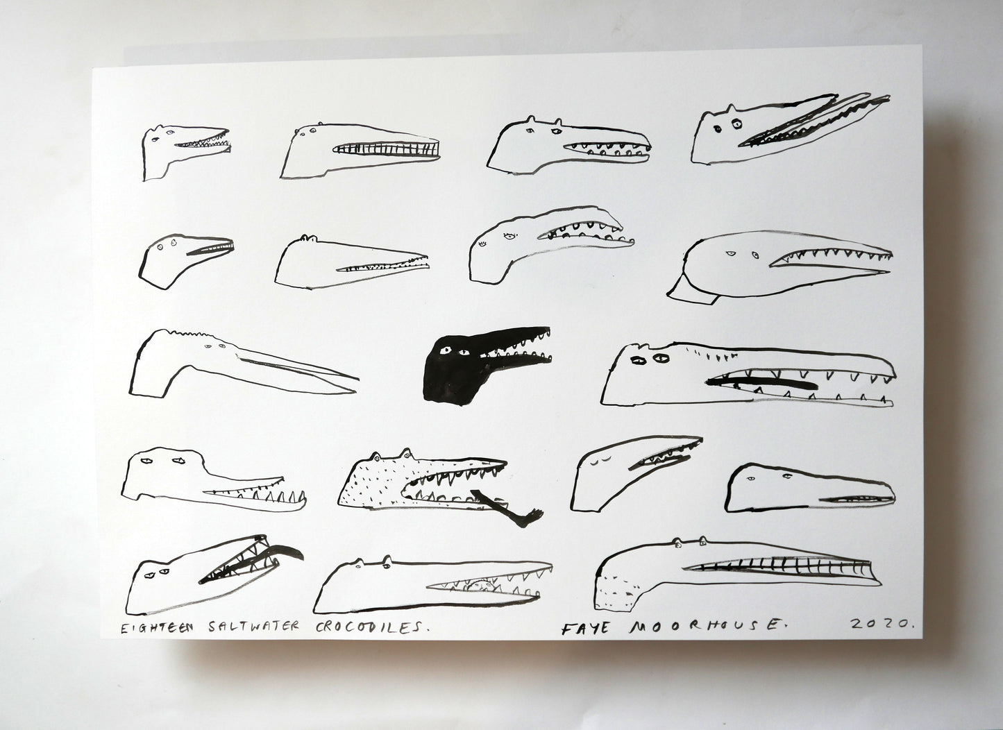 Eighteen Saltwater Crocodiles
