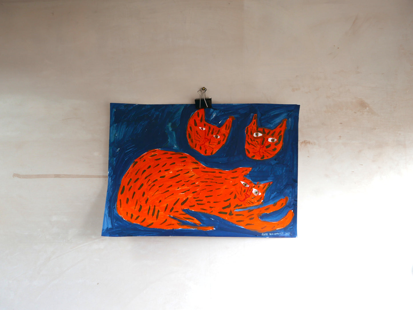 Orange Tiger Cat in a Pond