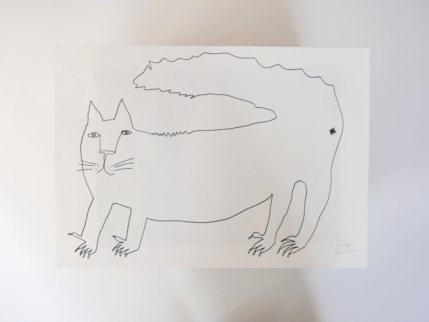 A Wonky Drawing