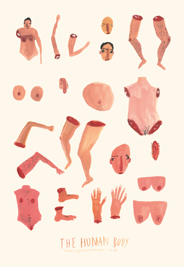 The Human Body