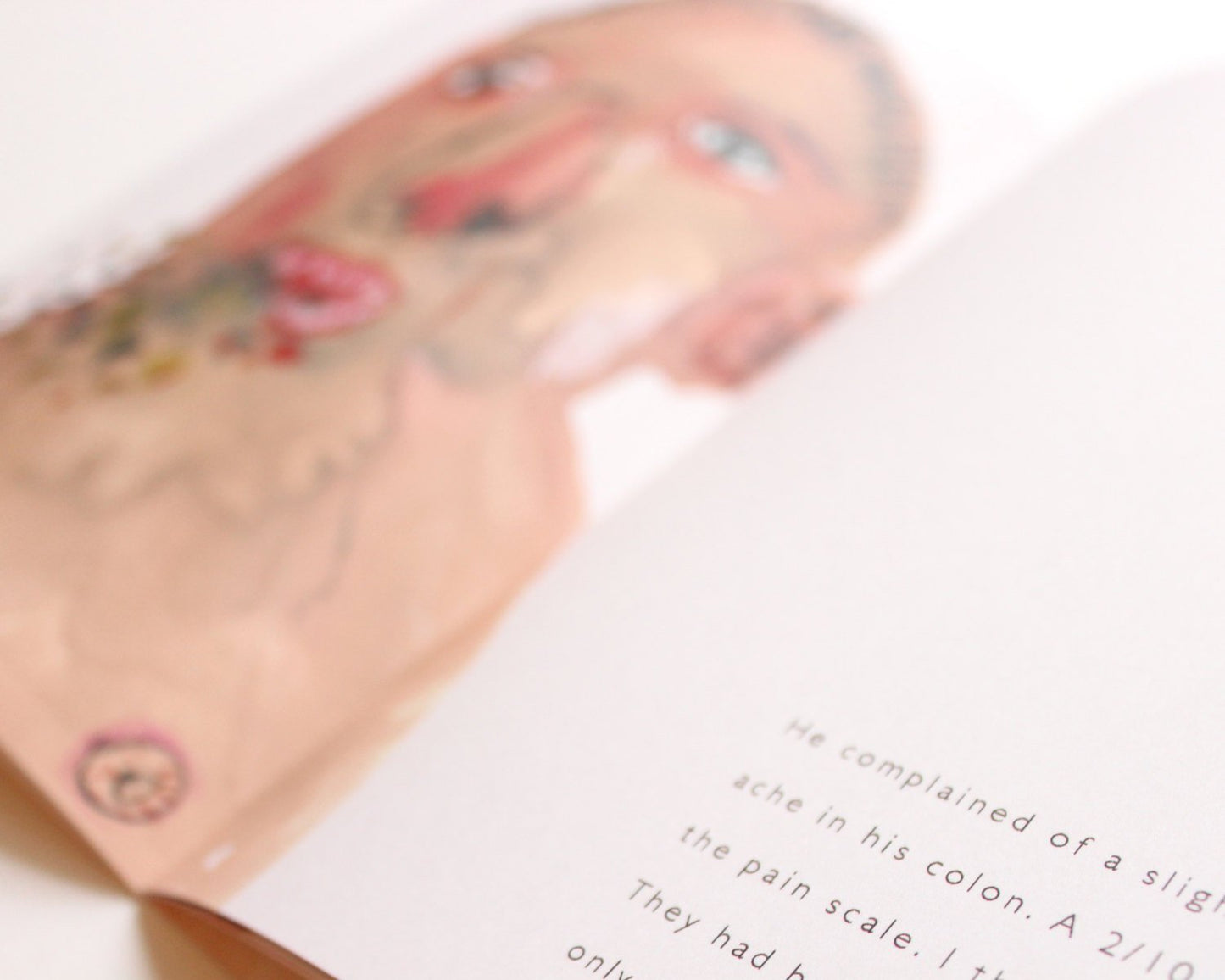 Watercolour Art Zine. A Catalogue of Things Ingested Issue 2. Illustrated book / zine. Limited Edition