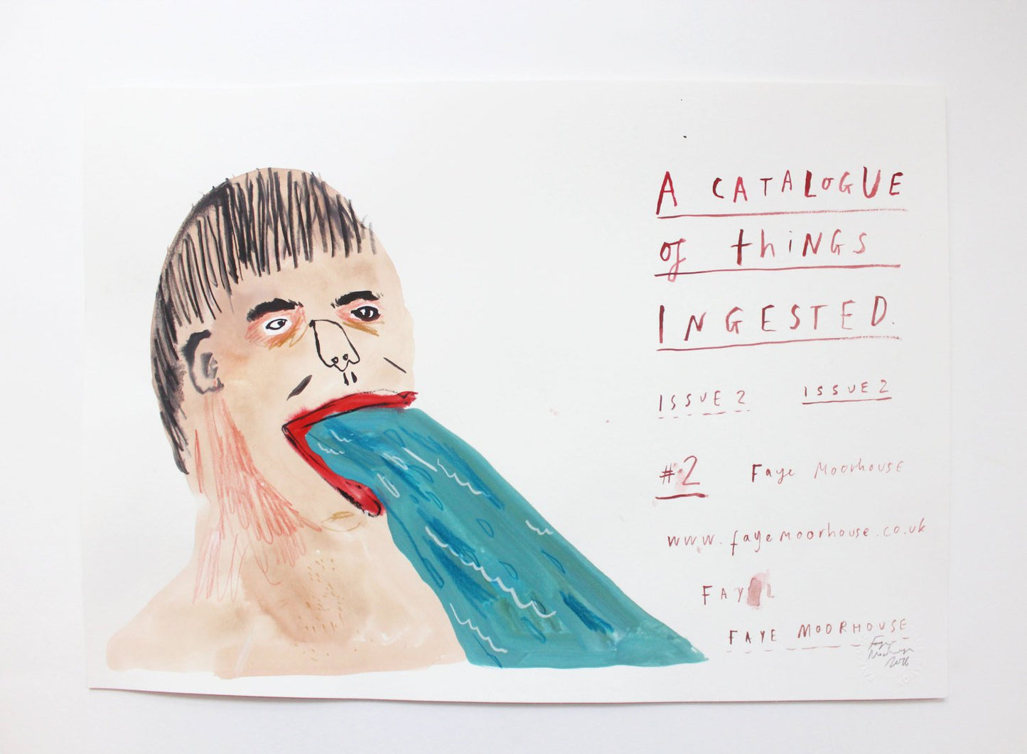 SALE! A Catalogue of Things Ingested 2 - Original illustration