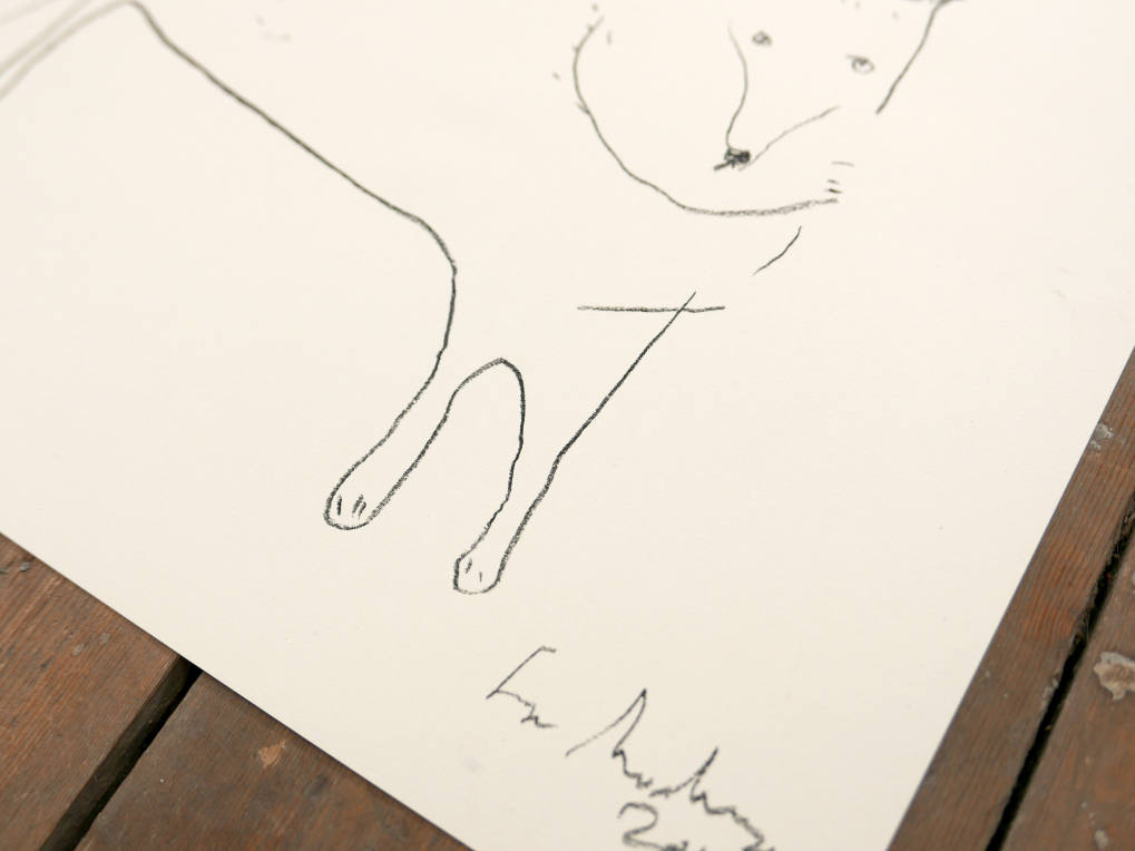 WOLF | Original Charcoal Drawing | Faye Moorhouse