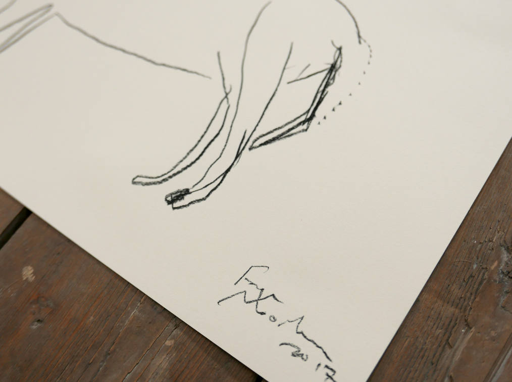 WOLF | Original Charcoal Drawing | Faye Moorhouse