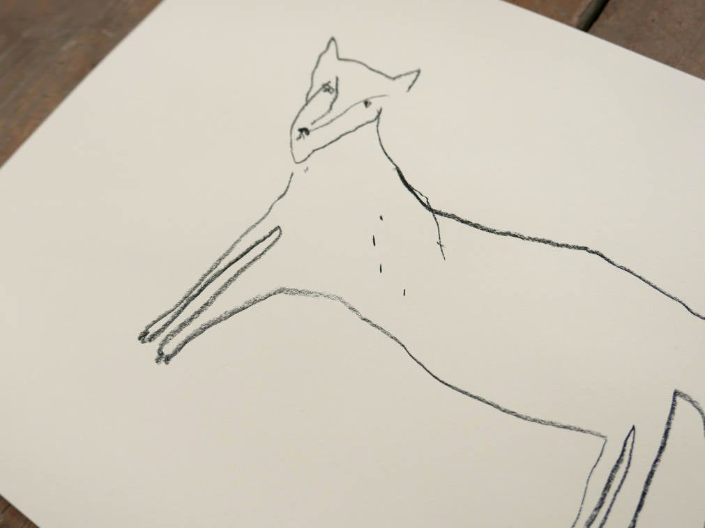 WOLF | Original Charcoal Drawing | Faye Moorhouse