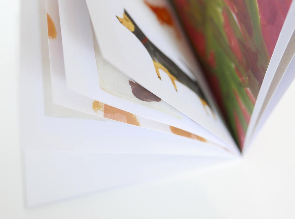 FAYE MOORHOUSE. COLLECTION. Issue 1