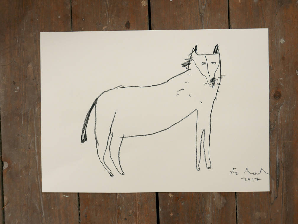 WOLF | Original Charcoal Drawing | Faye Moorhouse