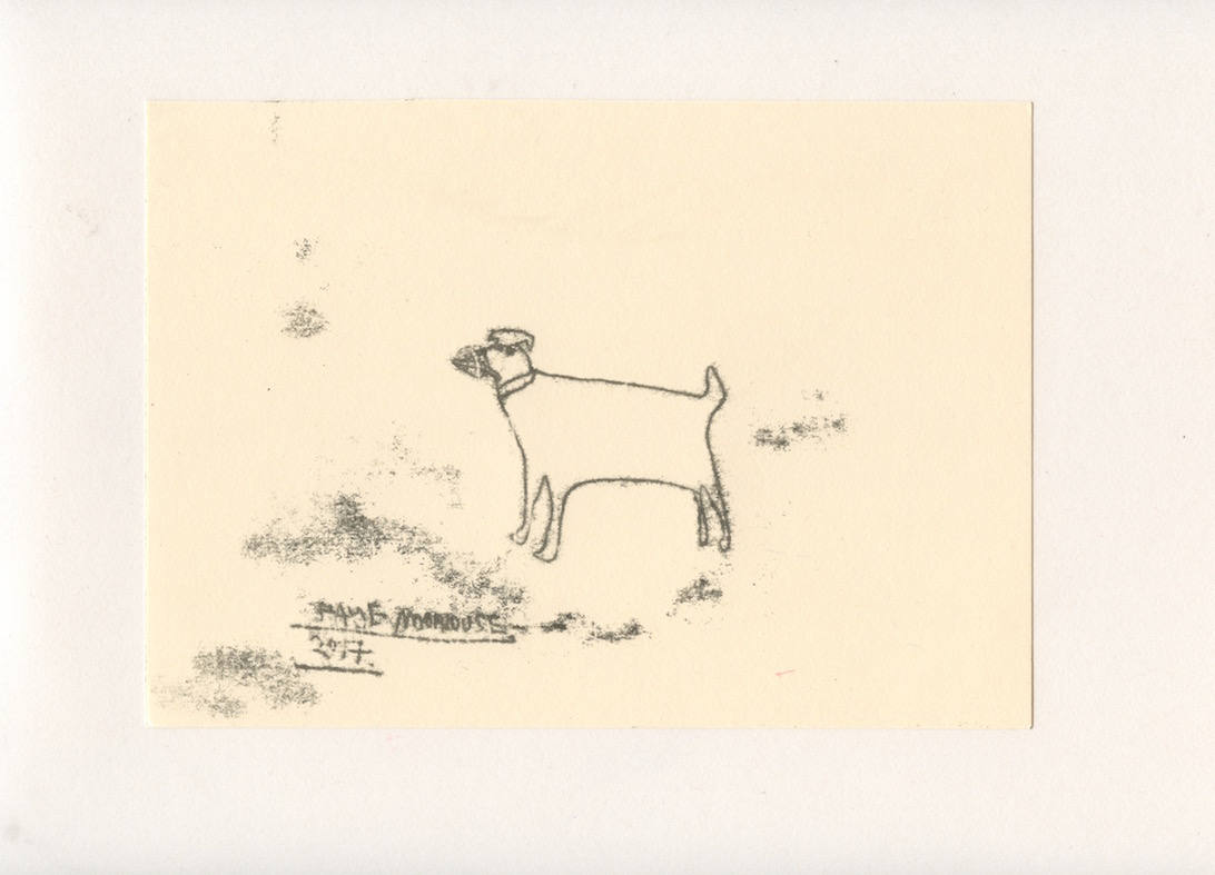 FIERCE DOG 2 - A Mono Print - Original Faye Moorhouse Illustration drawing art