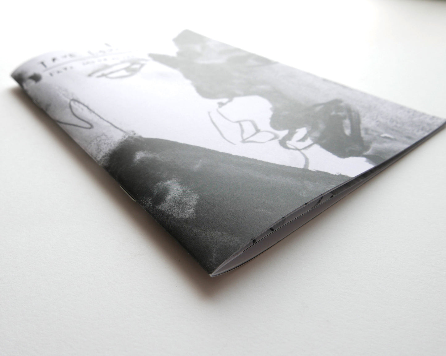 TRUE LOVE | New bound version | A black and white staple bound Zine by Faye Moorhouse