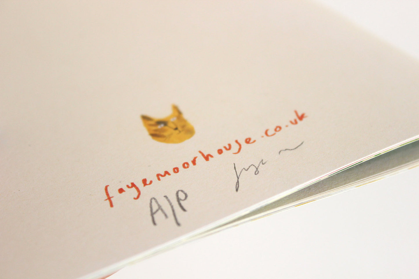 Picture Book / Illustrated Zine - Birken Cat Goes to ... Hawaii