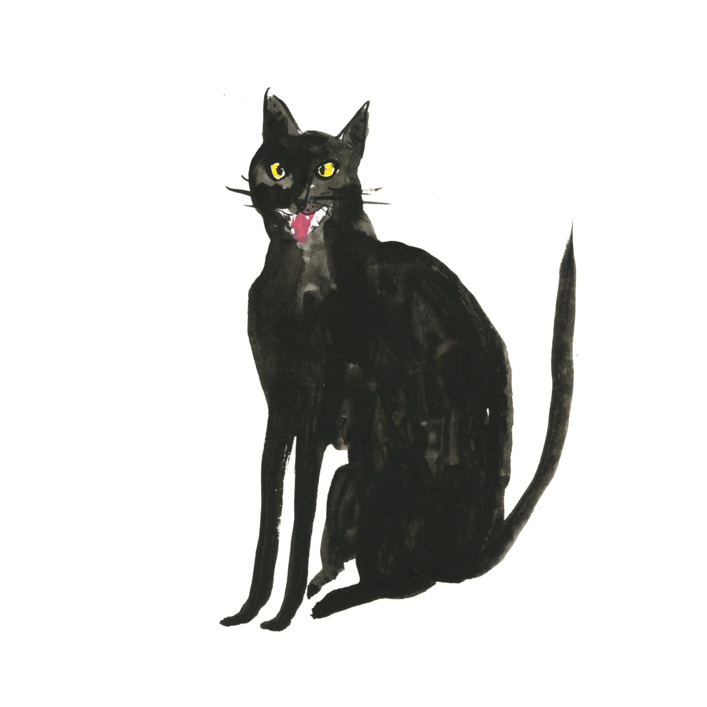Wonky Pet Portrait
