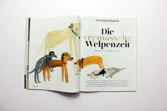 Dogs Magazin | 2016