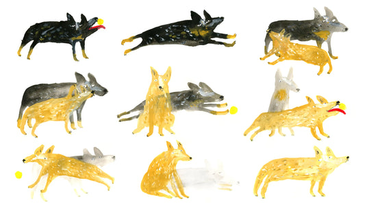 The New Yorker | The Bridge Dog