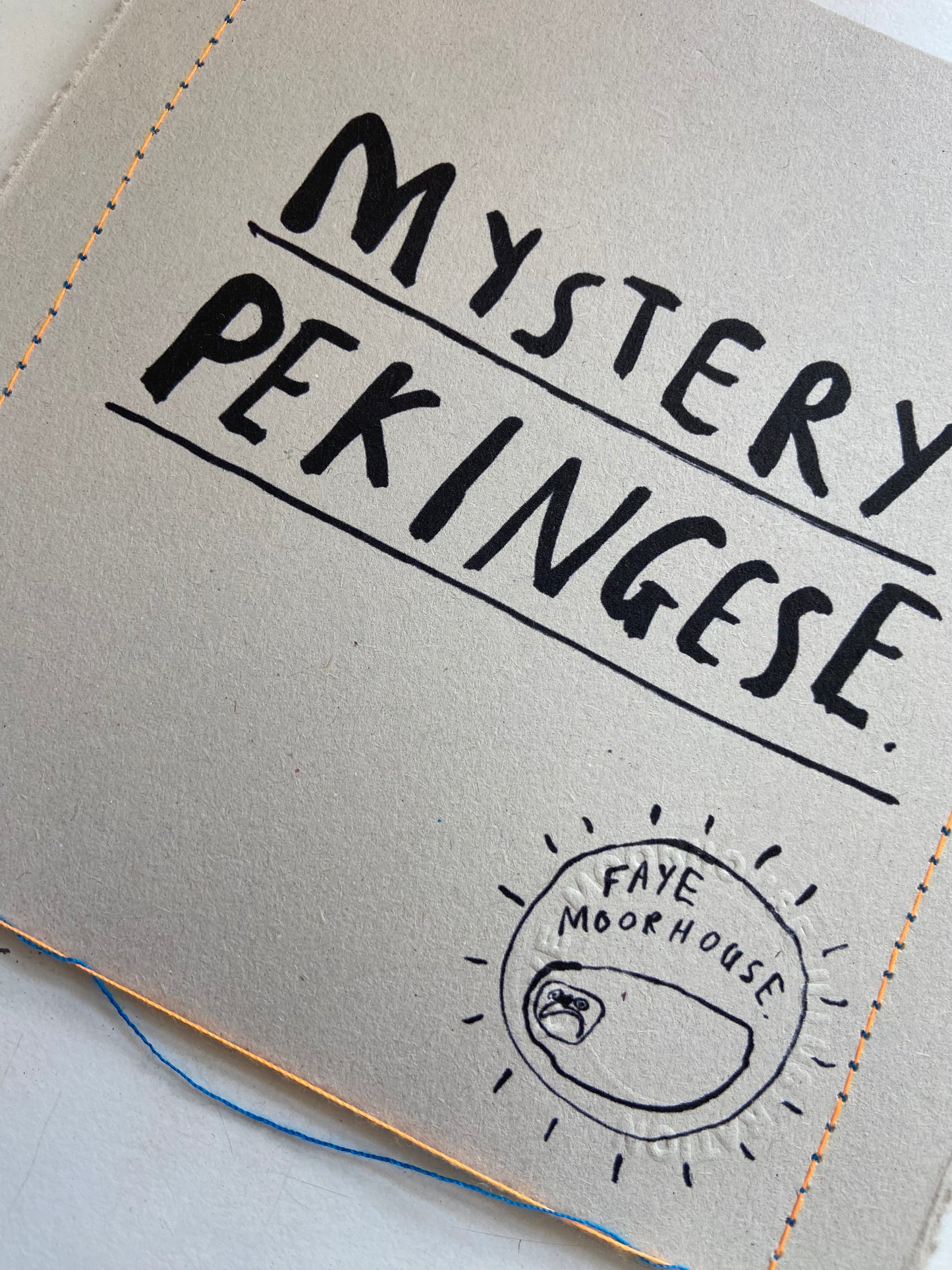 Mystery Pekingese Dog