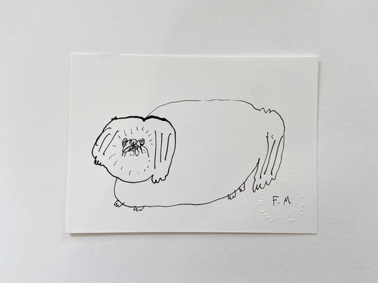 Pekingese Ink Drawing
