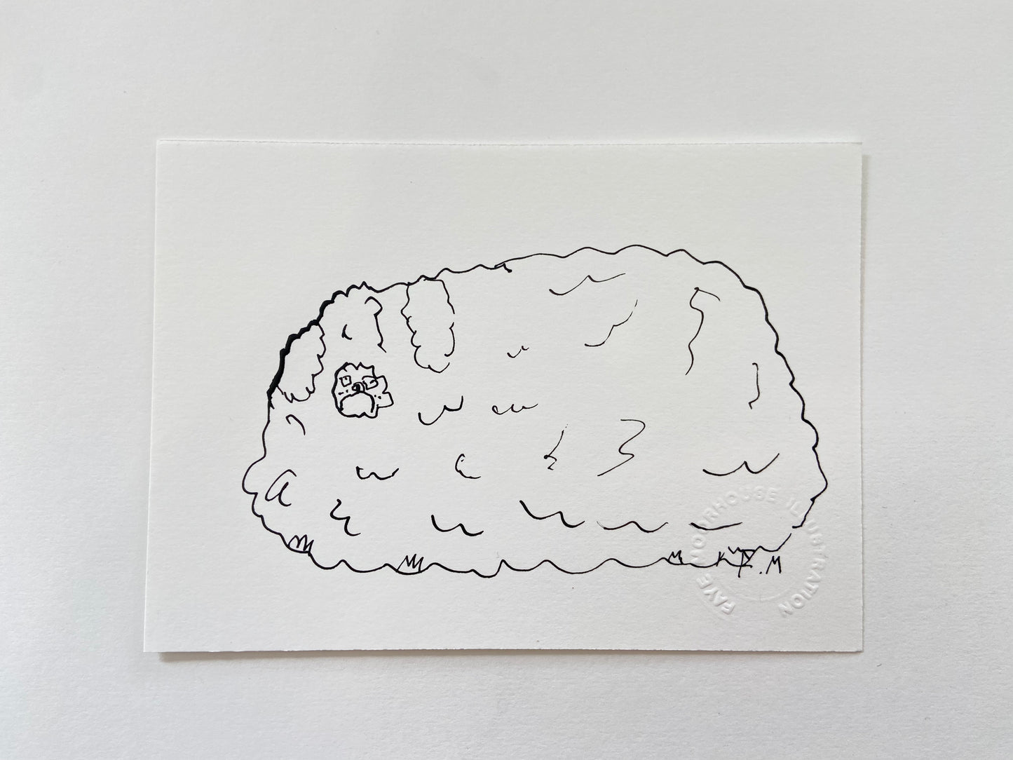 Pekingese Ink Drawing