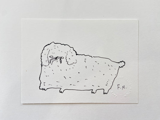Pekingese Ink Drawing