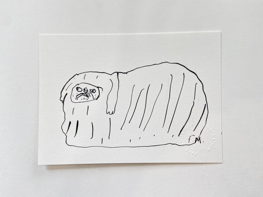 Pekingese Ink Drawing