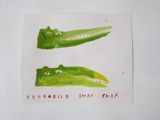 Crocodile Snap Snap 1