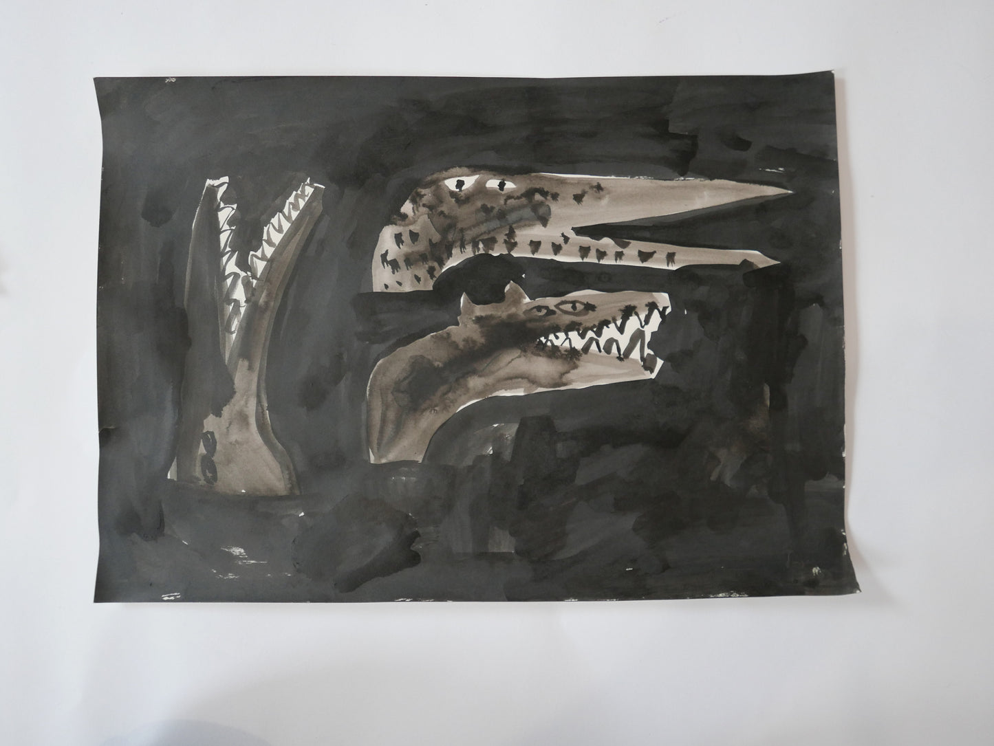 Crocodiles at Nighttime