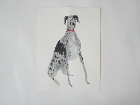 A Dog Portrait