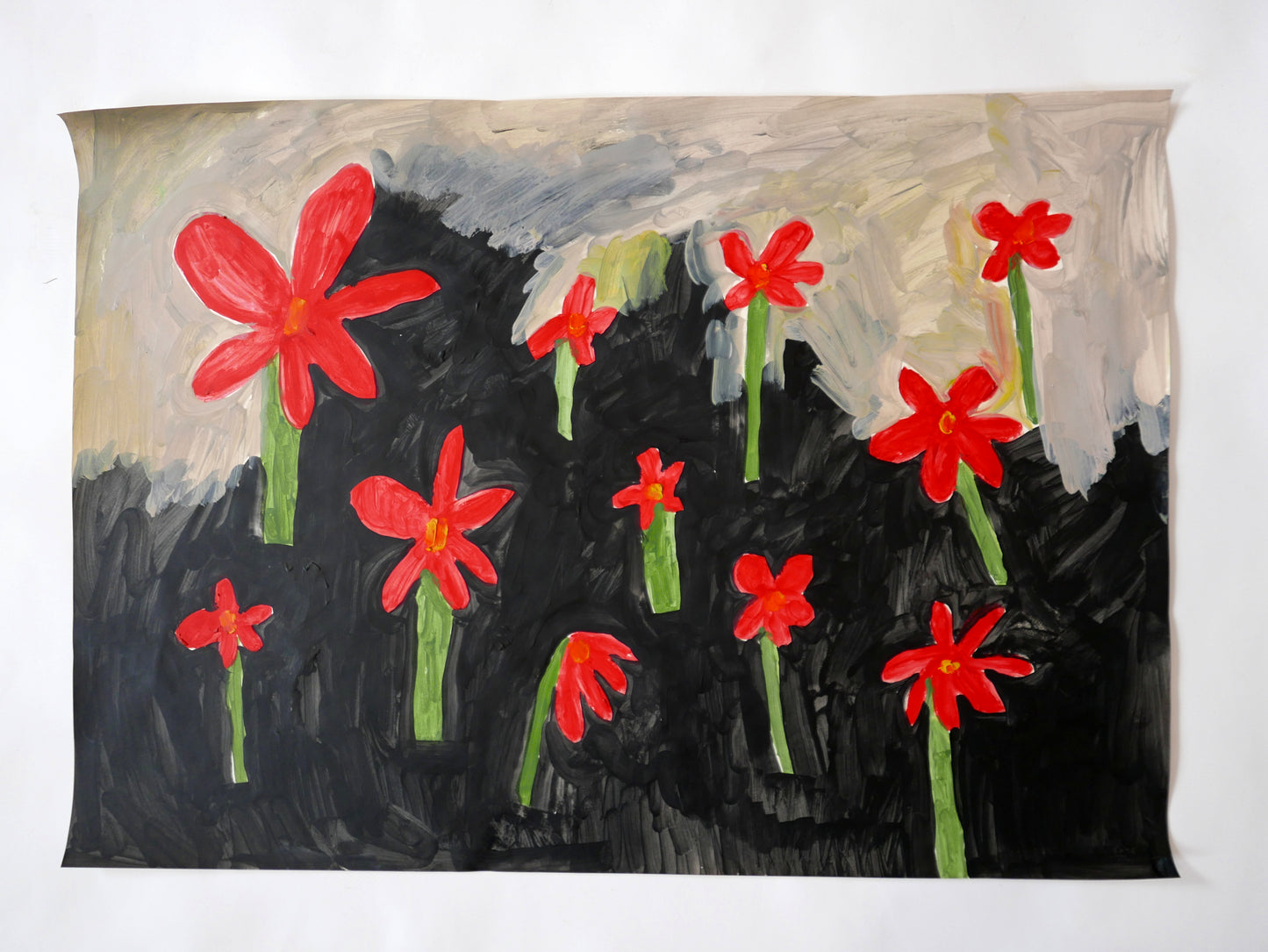Field of red flowers