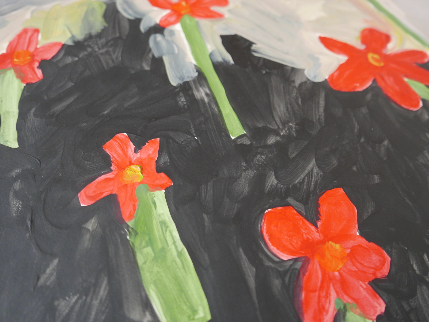 Field of red flowers
