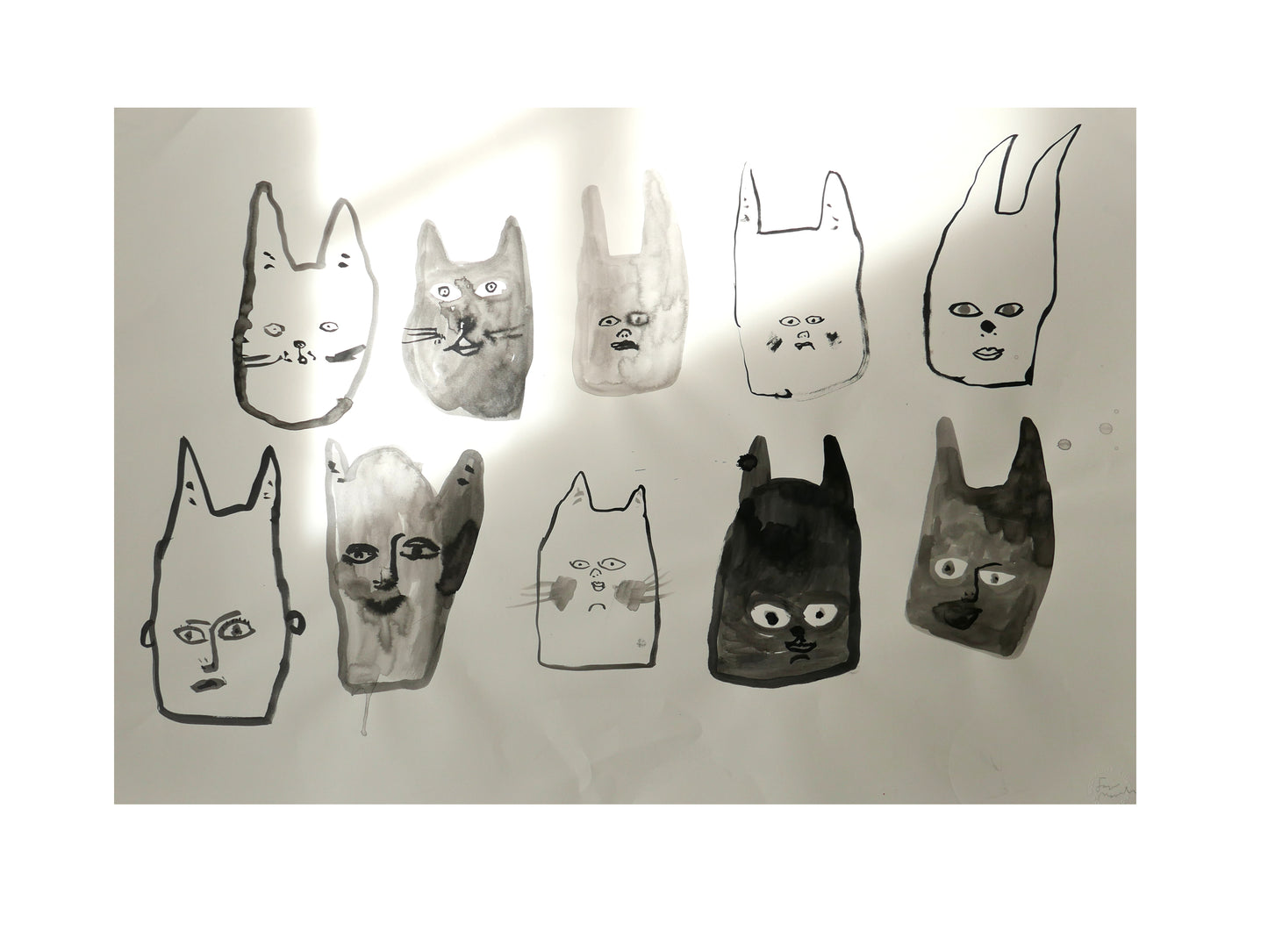 Cats and Humans