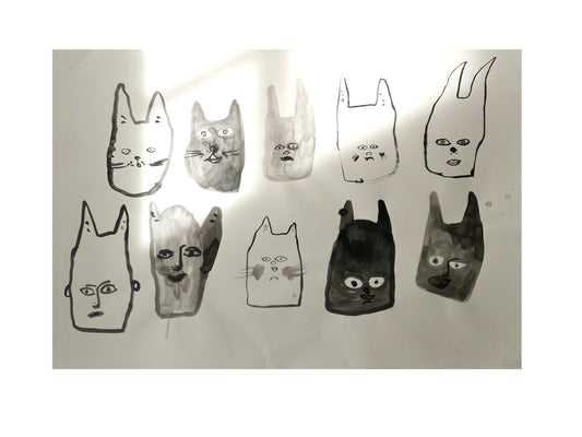 Cats and Humans