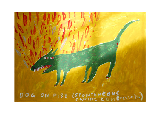 Dog on fire. Spontaneous canine combustion
