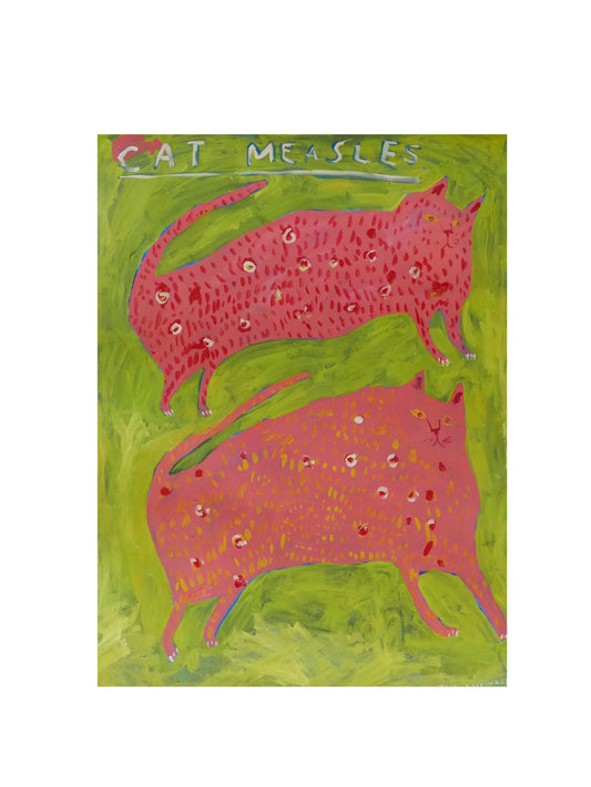 Cat Measles
